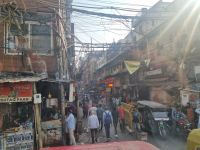 Auf delhis Strassen (8)