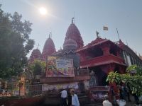 Auf delhis Strassen (10)