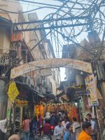 Auf delhis Strassen (11)