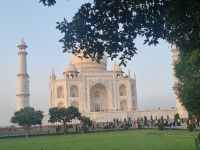 Taj Mahal Impressionen (9)