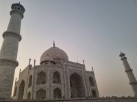Taj Mahal Impressionen (24)