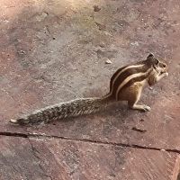 Impressionen aus der Geisterstadt Fatepu Sikri (32)