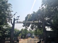 Koladeo Nationalpark (2)