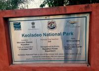 Koladeo Nationalpark (3)