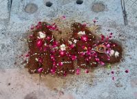 Echter Heiliger Mist