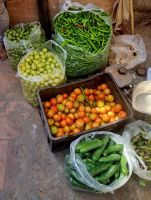 Eindrücke aus Pushkar (4)