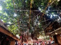 Eindrücke aus Pushkar (6)