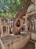Shri Ranakpur Jain Tempel (1)