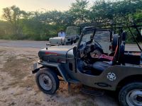 Impressionen Jeep Safari (6)