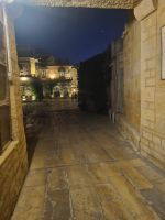 Hotel Mandir Palaca (13)