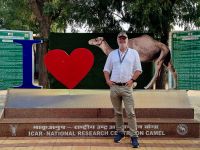 Kamel Aufzuchtstation (16)