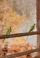 Pausen Locations mit leckeren Snacks (2)