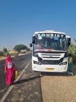 Typische Begegnung im indischen Strassenverkehrt (5)