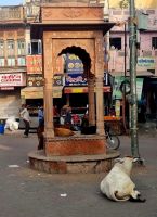 City Impressionen Bikaner (12)