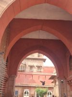 Prunk un dPracht Junagarh Fort (3)