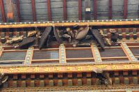 Punakha Dzong - Bienennester