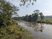 56) Jeeptour durch den Chitwan Nationalpark, Nepal