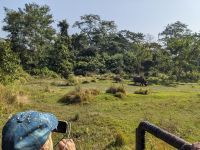 59) Nashorn mit Baby auf der Jeeptour durch den Chitwan Nationalpark, Nepal