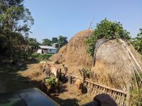 63) Traditionelles Dorfleben am Chitwan Nationalpark, Nepal