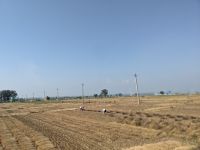 64) Traditionelles Dorfleben am Chitwan nationalpark, Nepal