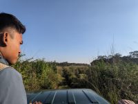 77) Jeeptour durch den Chitwan Nationalpark, Nepal