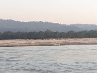81) Krokodil auf der Bootsfahrt im Chitwan Nationalpark, Nepal