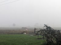 96) Morgenspaziergang Umgebung der Unterkunft Machan Country Villa am Chitwan Nationalpark, Nepal