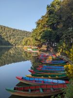 163) Zurück zur Unterkunft Fish Tail Lodge, Pokhara, Nepal