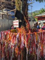 171) Zwischenstopp bei der Bootsfahrt auf dem Phewa-See am Tal Barahi Mandir Tempel, Pokhara, Nepal