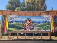 305)  Spaziergang durch die Stadt Thimphu, Bhutan