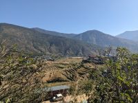 338) Reisfelder auf dem Weg nach Punakha, Bhutan