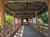 357) Dzong von Punakha - schönster des Landes, Bhutan