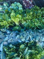 381)  Gemüsemarkt Bijchulum Farmers Market, Bhutan