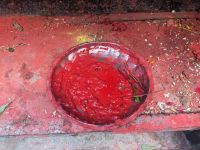 421) Bhaktapur - Spaziergang, Kathmandu, Nepal