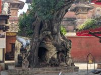 479) Kathmandu Durbar Square, Kathmandu, Nepal