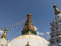 502) Affentempel, Kathmandu, Nepal