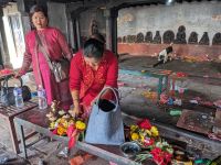 503) Affentempel, Kathmandu, Nepal