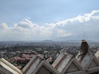 507) Affentempel, Kathmandu, Nepal