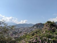 509) Affentempel, Kathmandu, Nepal
