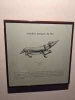 516)  Patan Museum, Patan, Nepal