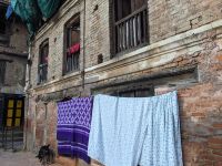 530) Durbar Square Patan, Nepal