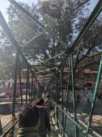 544) Pashupatinath Tempel, Kathmandu, Nepal