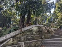 549) Pashupatinath Tempel, Kathmandu, Nepal