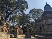 553) Pashupatinath Tempel, Kathmandu, Nepal