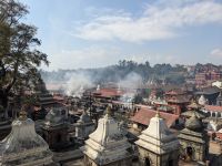 554) Pashupatinath Tempel, Kathmandu, Nepal