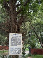 Staatliche Kunstgalerie