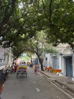Rikschafahrt durch Pondicherry