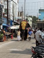 Vor dem Nataraja Tempel in Chidambaram