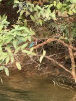 Periyar Nationalpark