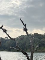 Periyar Nationalpark